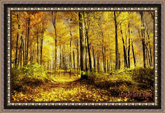 Collection 8 Autumn gold Framed Painting