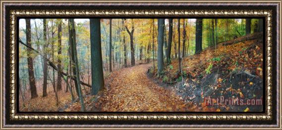 Collection 8 Autumn view Framed Painting