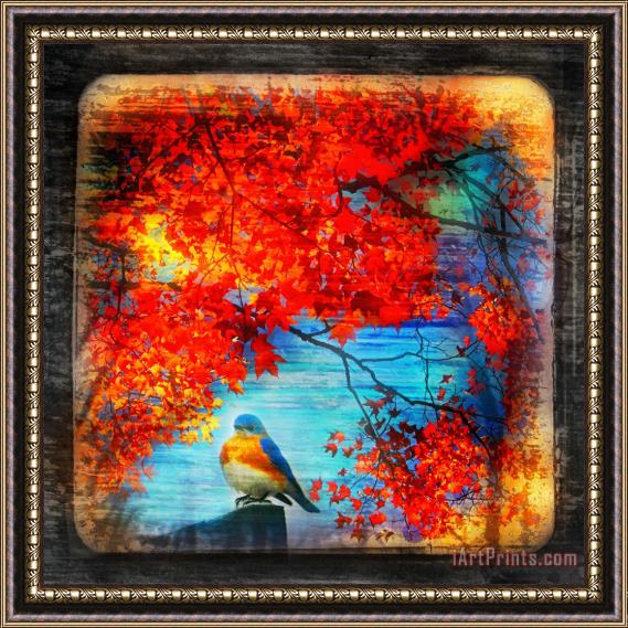 Collection 8 Bluebirds song Framed Print