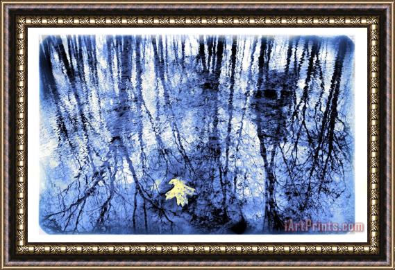 Collection 8 Reflection in blue Framed Painting