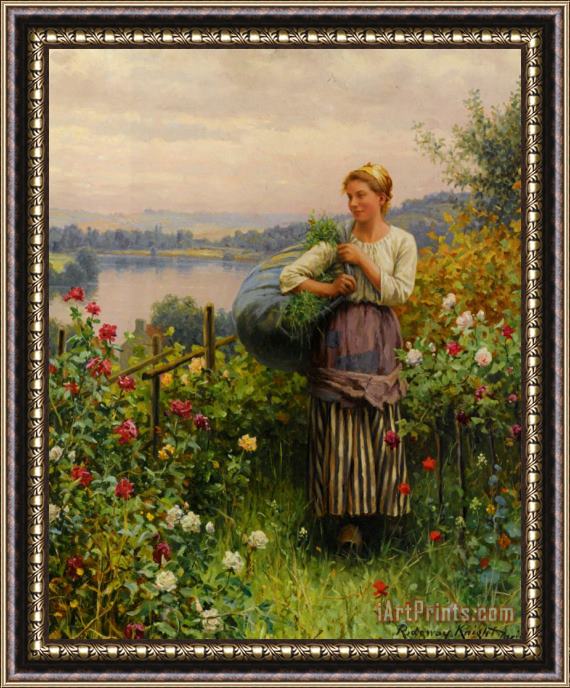 Daniel Ridgway Knight The Rose Garden Framed Print