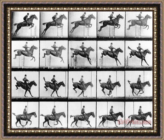 Eadweard Muybridge Man And Horse Jumping Framed Print