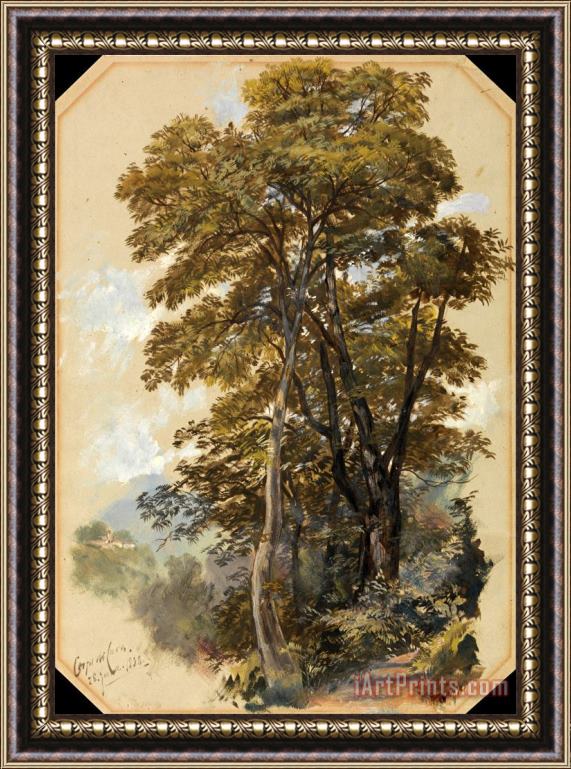 Edward Lear Corpo Di Cava, 28 June 1838 Framed Painting