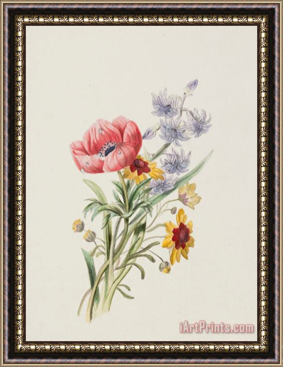 English School Study of wild flowers Framed Painting