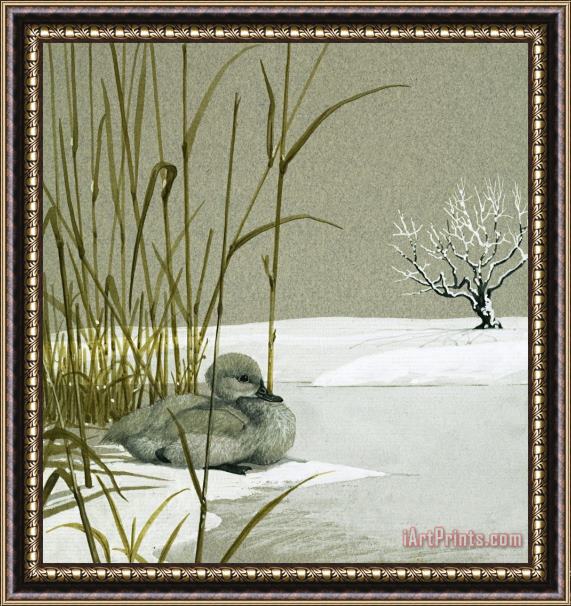English School The Ugly Duckling Framed Print
