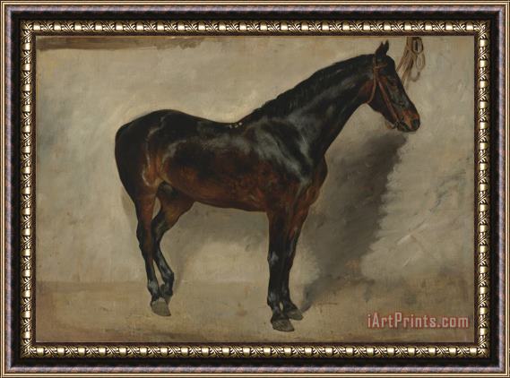 Eugene Delacroix Study of a Brown Black Horse Tethered to a Wall Framed Painting