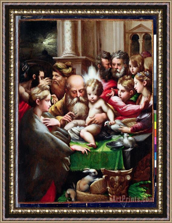 Francesco Mazzola Parmigianino The Circumcision Framed Painting