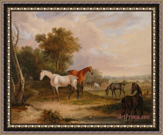Francis Calcraft Turner Horses Grazing a Grey Stallion Grazing with Mares in a Meadow Framed Painting
