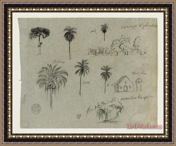 Frederic Edwin Church Sketches From The Rio Magdalena, Colombia. Botanical Sketches. a Church. Similar to 103. Framed Print