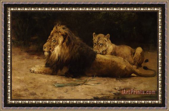 George Denholm Armour Lion And Lioness Framed Painting