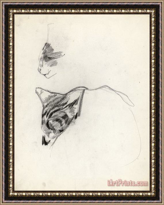 George Hendrik Breitner Twee Studies Van Een Kat Framed Print