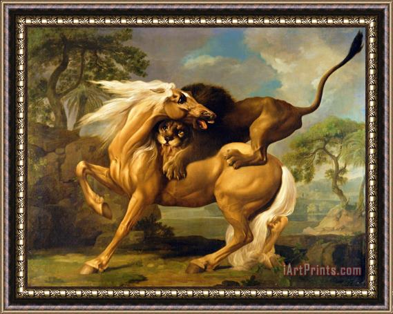 George Stubbs A Lion Attacking a Horse Framed Painting