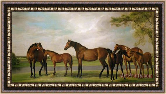George Stubbs Mares And Foals Disturbed By An Approaching Storm Framed Painting