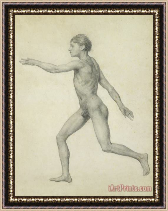 George Stubbs The Entire Human Figure From The Left Lateral View Framed Print