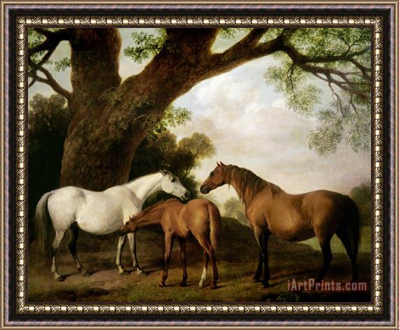 George Stubbs Two Mares and a Foal Framed Print