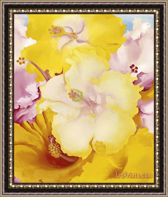 Georgia O'keeffe Hibiscus, 1939 Framed Painting