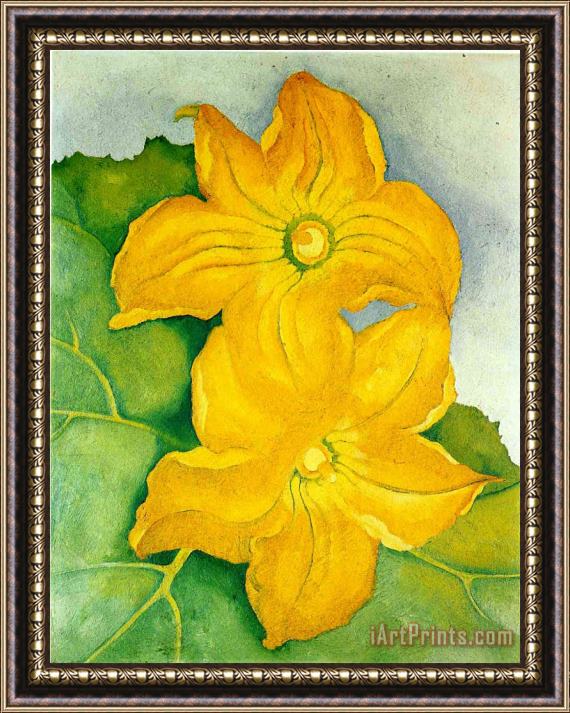 Georgia O'keeffe Squash Blossoms I Framed Painting