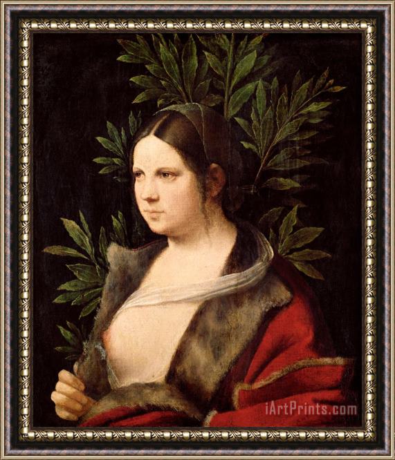 Giorgione Young Woman (laura) Framed Painting
