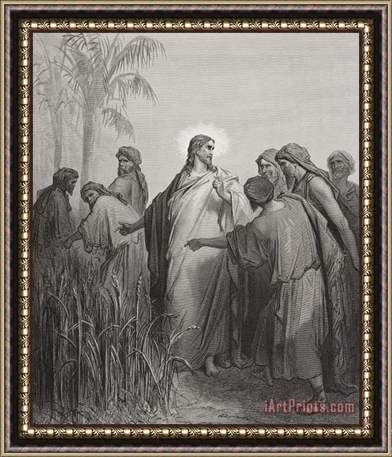 Gustave Dore Jesus And His Disciples In The Corn Field Framed Painting