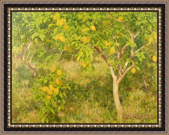 Henry Scott Tuke The Lemon Tree Framed Painting