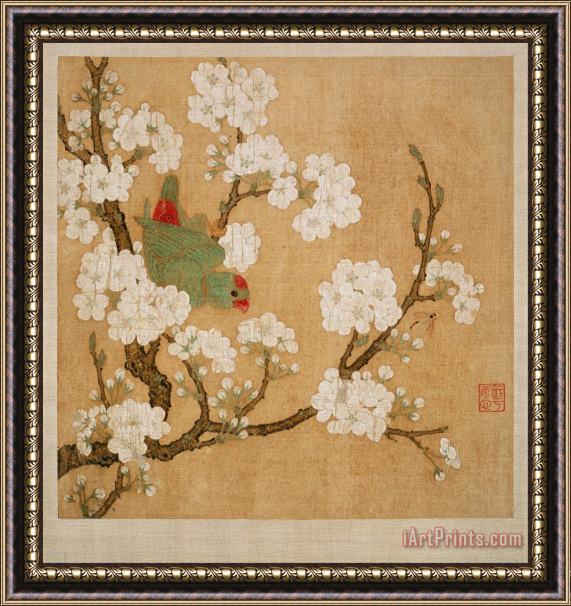 Huang Jucai Parrot And Insect Among Pear Blossoms Framed Painting
