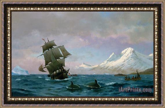 J E Carl Rasmussen Catching whales Framed Print