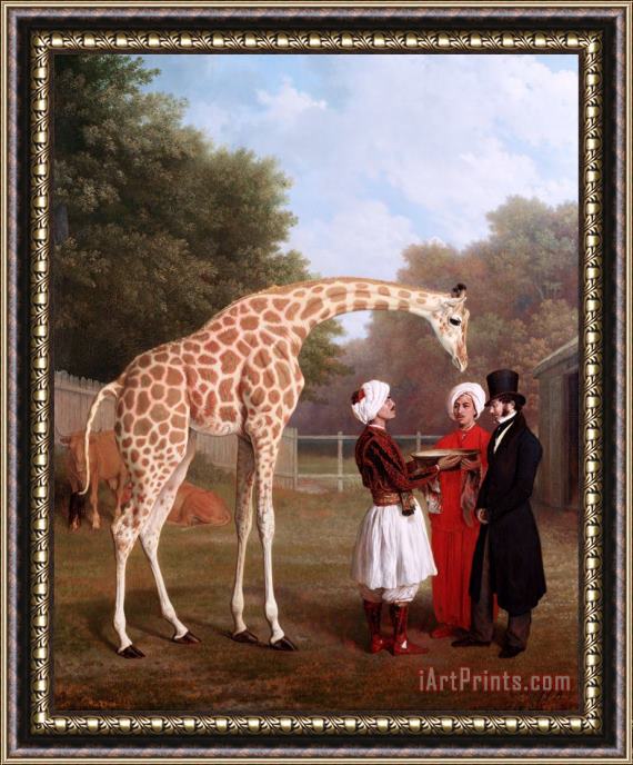 Jacques-Laurent Agasse Nubian Giraffe Framed Painting