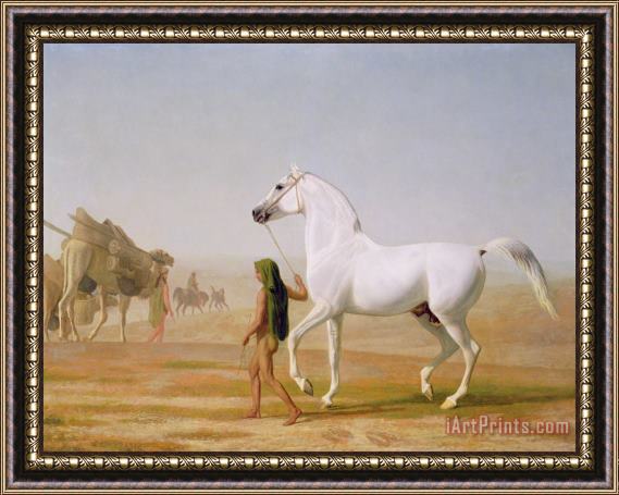 Jacques-Laurent Agasse The Wellesley Grey Arabian led through the Desert Framed Print