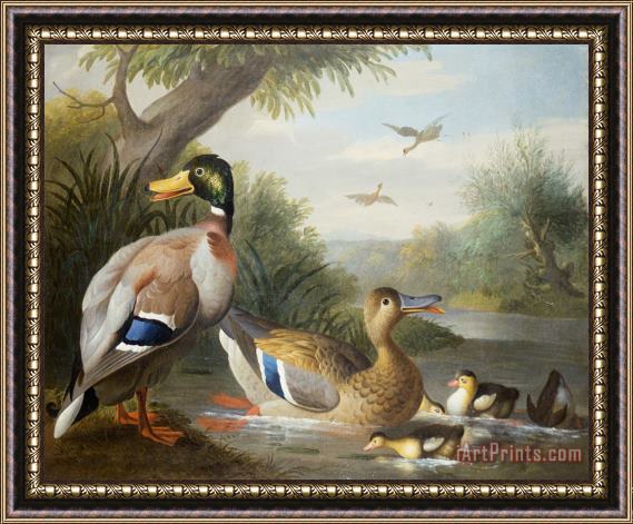 Jakob Bogdany Ducks in a River Landscape Framed Print