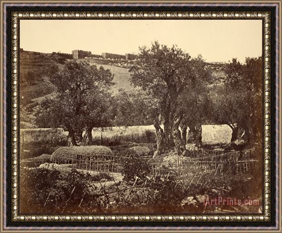 James Robertson  The Garden of Gethsemane Framed Print