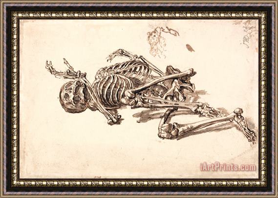 James Ward A Human Skeleton Framed Print
