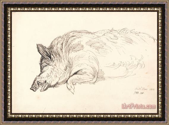 James Ward A Wild Boar, Asleep Or Dead Framed Print