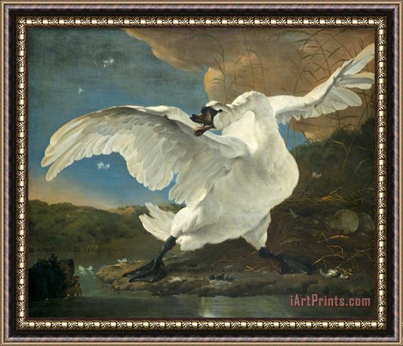Jan Asselyn The Threatened Swan Framed Painting