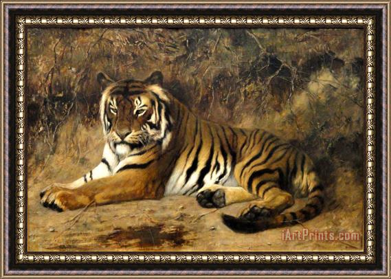 Jean Leon Gerome Tiger Springfield Ma Framed Print