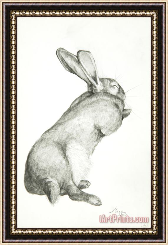 Jeanne Maze Rabbit Sleeping Framed Print