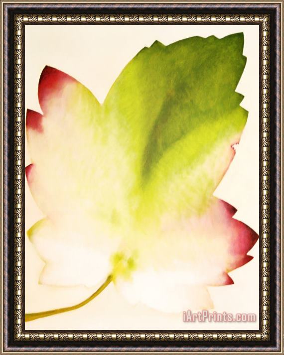 Jerome Lawrence Spring Leaf Framed Painting