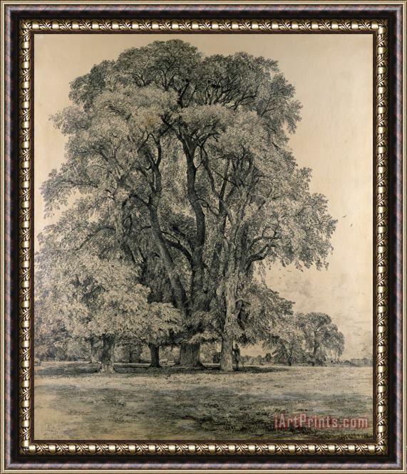 John Constable Elm trees in Old Hall Park Framed Print