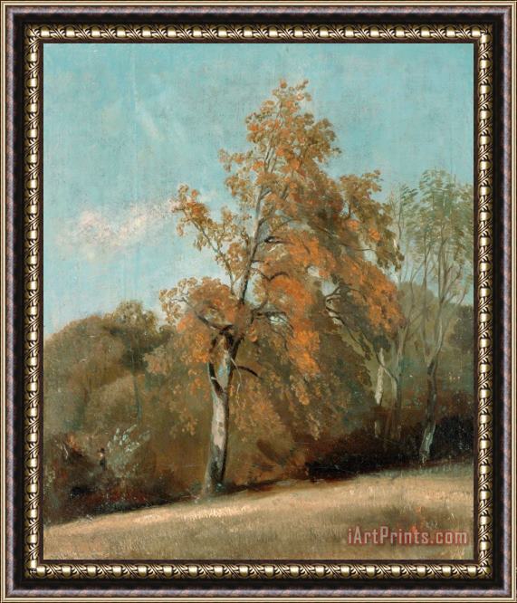 John Constable Study of an Ash Tree Framed Print