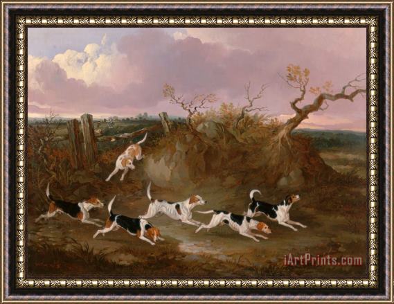 John Dalby Beagles in Full Cry Framed Painting