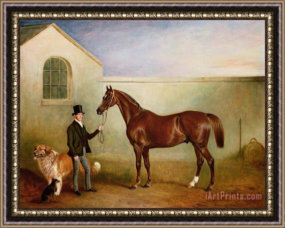John E Ferneley Mr Meakin Holding Sir Robert Peels Chestnut Hunter With His Dogs Hector And Jem Framed Print
