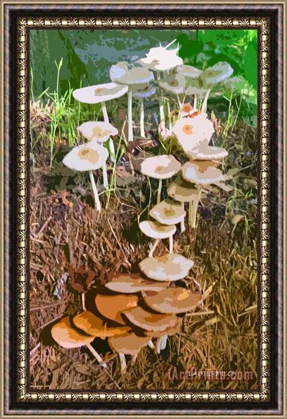 John Lautermilch Mushrooms In A Haystack Framed Print
