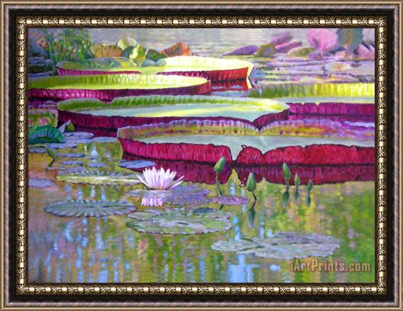 John Lautermilch Sunlight on Lily Pads Framed Print