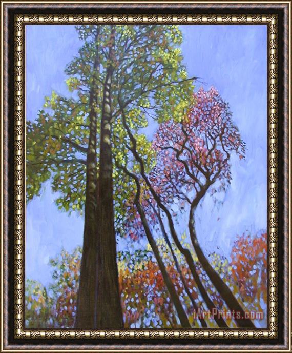 John Lautermilch Sunlight On Upper Branches Framed Painting