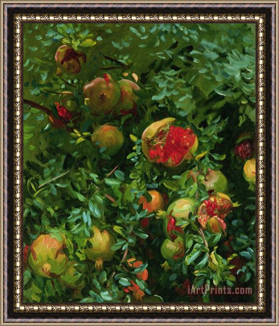 John Singer Sargent Pomegranates Majorca Framed Print