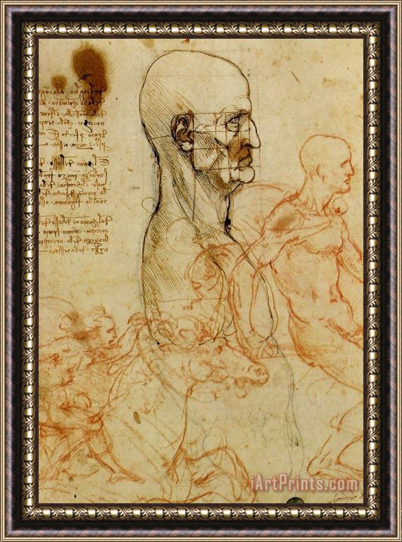 Leonardo da Vinci Anatomical Study Of A Man's Head Framed Print