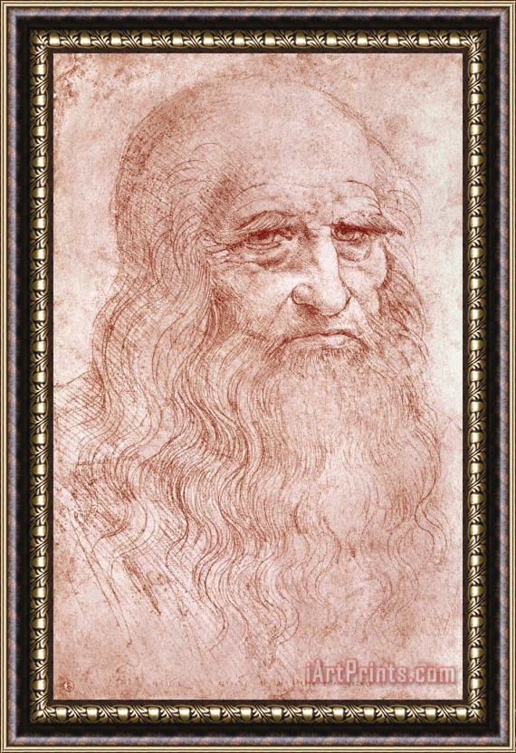 Leonardo da Vinci Portrait Of A Bearded Man Framed Painting
