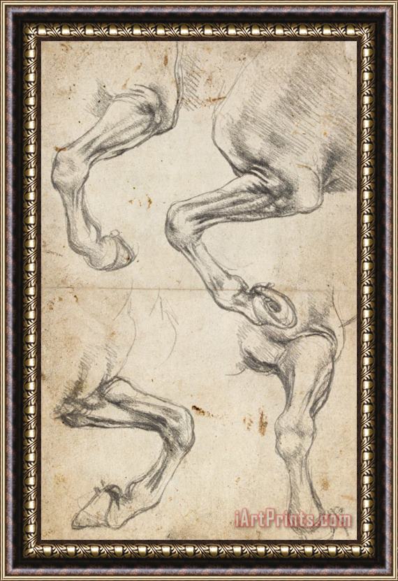 Leonardo da Vinci Study For Horse Legs Framed Painting