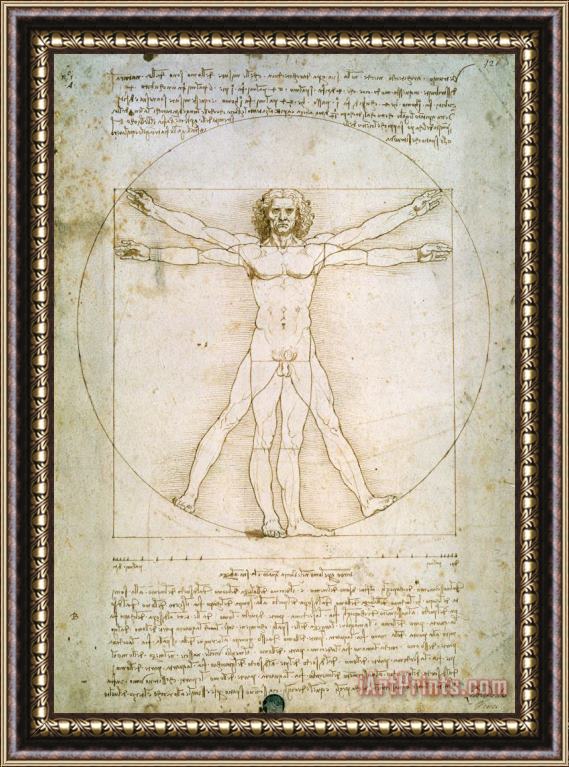 Leonardo da Vinci The Proportions of the Human Figure Framed Print