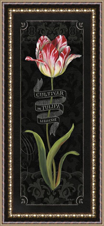 Lisa Audit Tulipa Botanica III Framed Painting