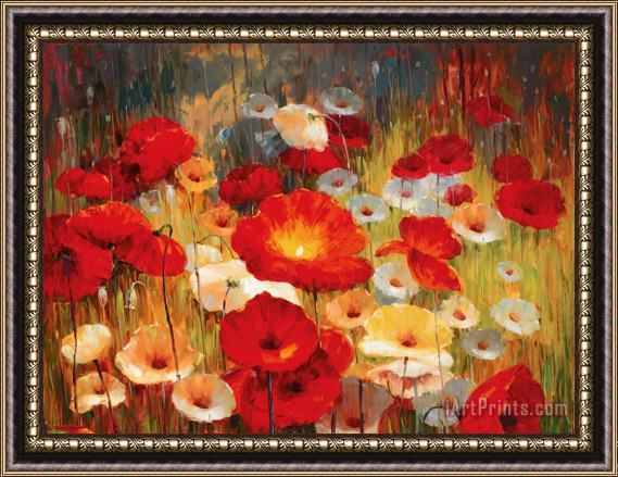 Lucas Santini Meadow Poppies I Framed Painting